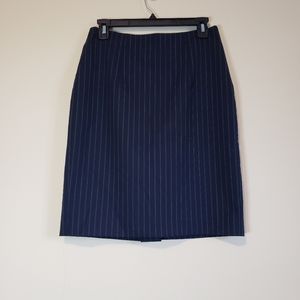 Banana Republic Skirt